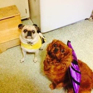 Meet your Posher, Debra